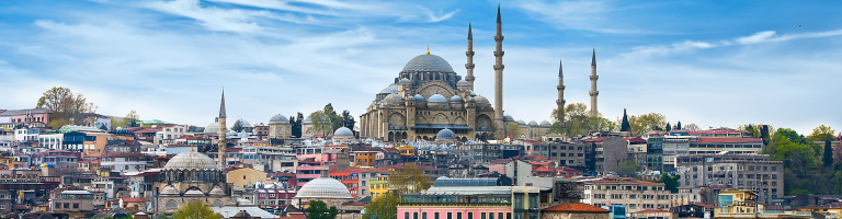 turkey
