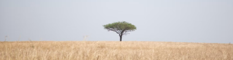 uganda