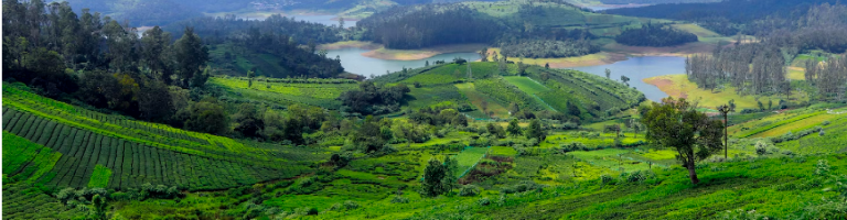 ooty