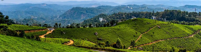 munnar