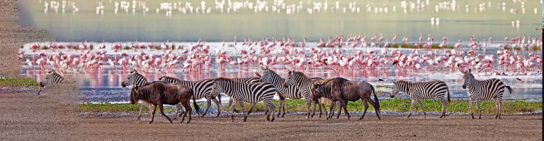 lake manyara