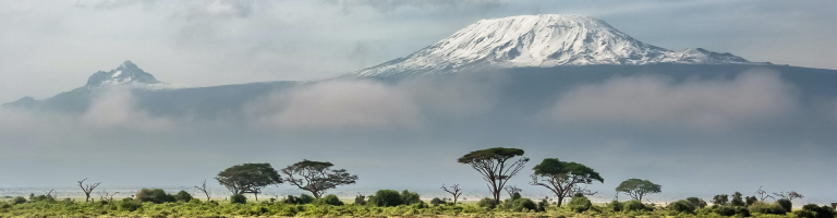 kilimanjaro