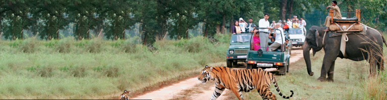 kanha