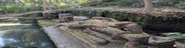 bandhavgarh