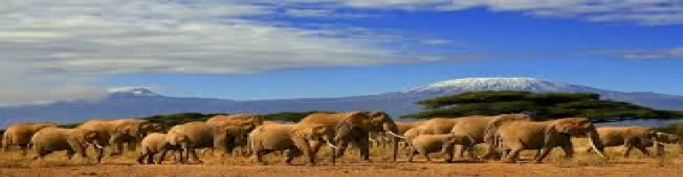 amboseli national park
