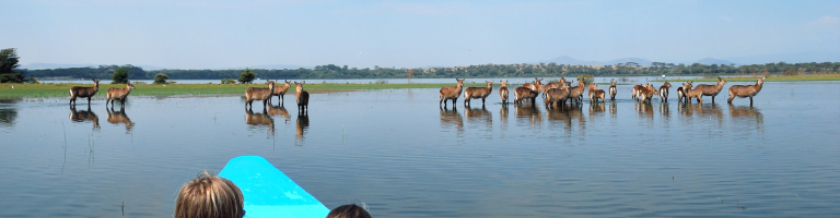 naivasha